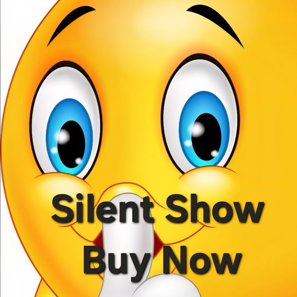 FLYER Silent Show